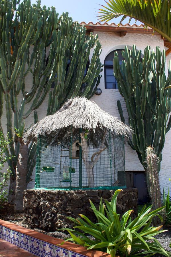 Miramar Boutique Apartments Adults Only Corralejo Exterior photo
